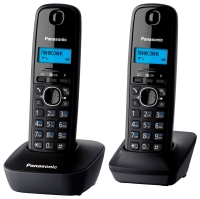 радиотелефон DECT Panasonic KX-TG1612RU