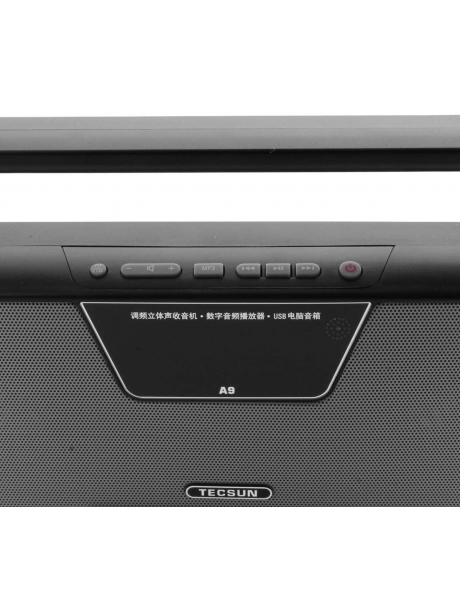 радиоприемник с пультом ДУ и MP3 плеером Tecsun A9 black