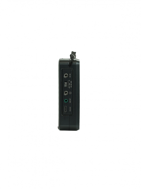 всеволновый цифровой радиоприемник Tecsun PL-880 (export version) black