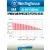 аккумуляторы Westinghouse 1000 mAh  R03/AAA 12шт. 