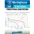 аккумуляторы Westinghouse 1000 mAh  R03/AAA 12шт. 